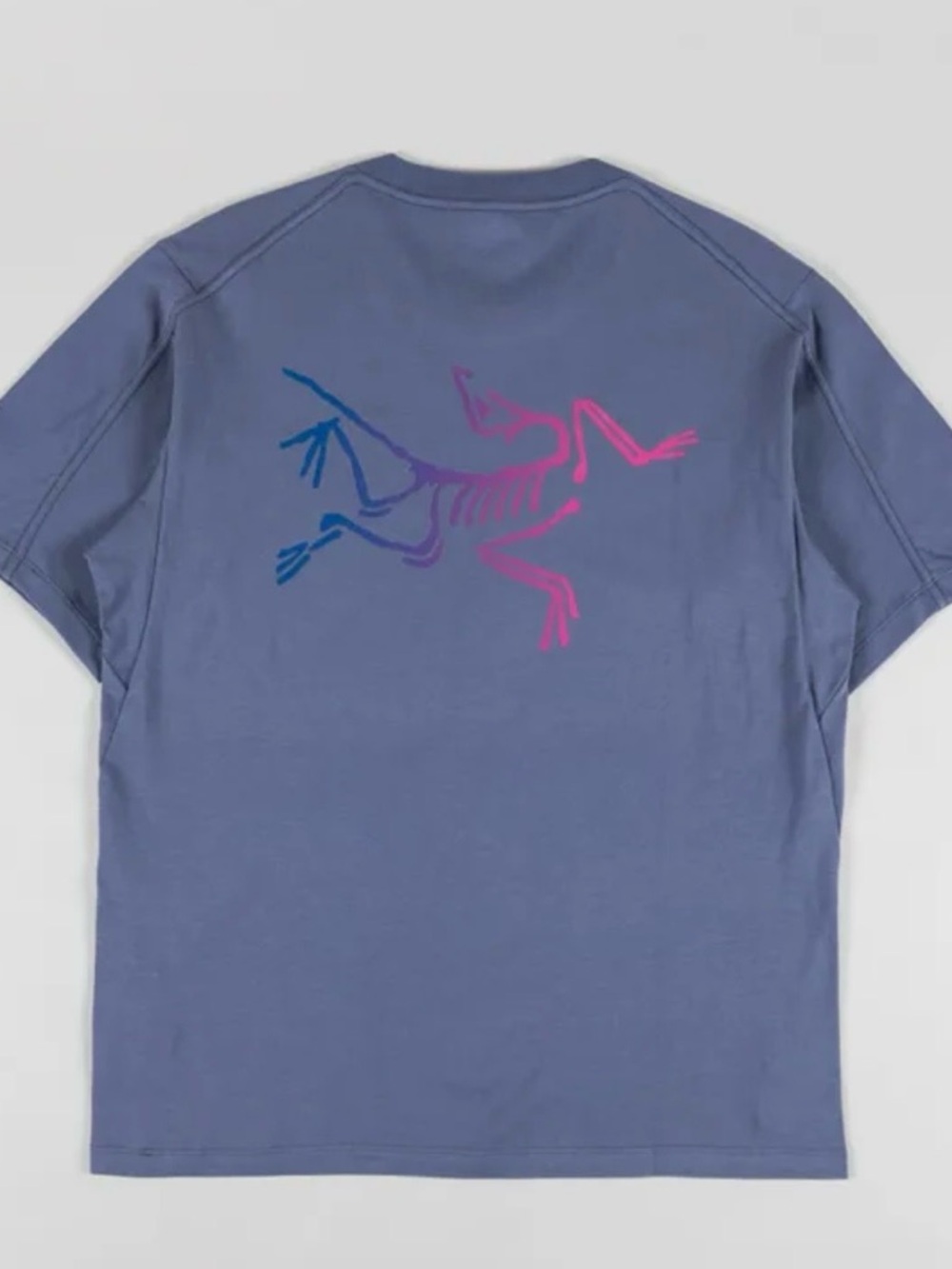 Arc'teryx Stratus Gray Kragg Cotton Logo Tee